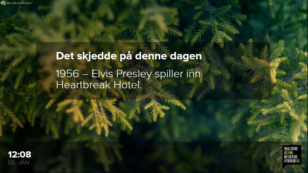 Skjermbilde 8.JPG